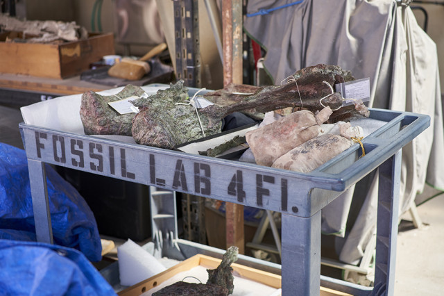 Double shelf cart with dinosaur fossils in the top tray
