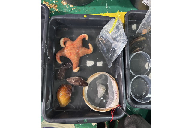 Antarctica Exploration 2026 specimen tray