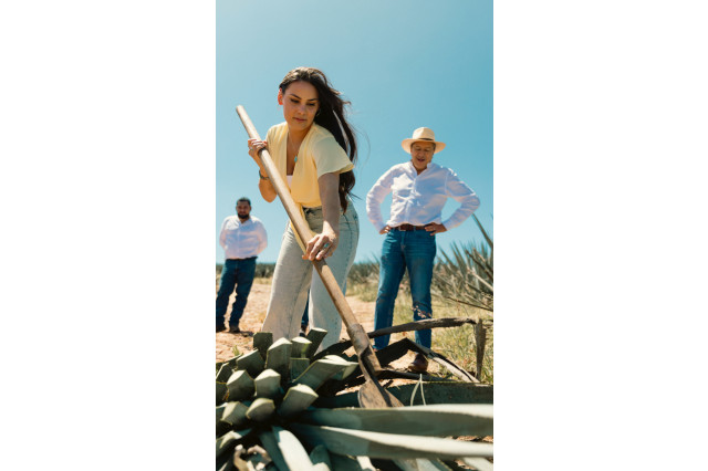 Woman harvesting agave outside while two ranchers look on.