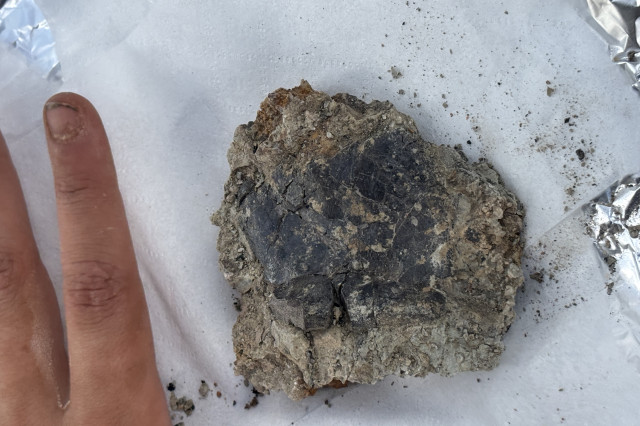 A fossil next to a finger 