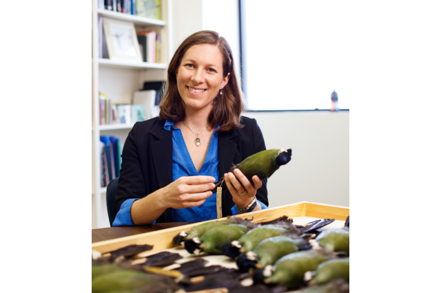 Dr Allison Talens is a white presenting woman scientist holding a preserved bird specimen in a brightly lit office.