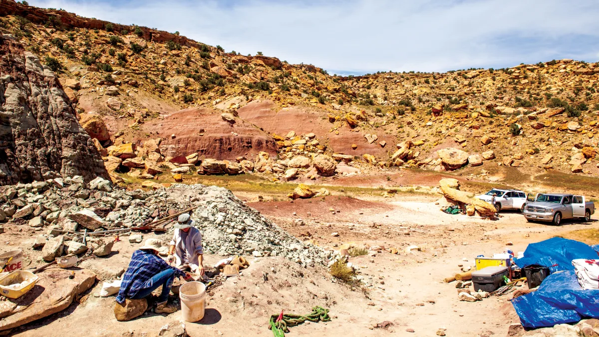 Dinosaurs in the Desert Natural History Museum