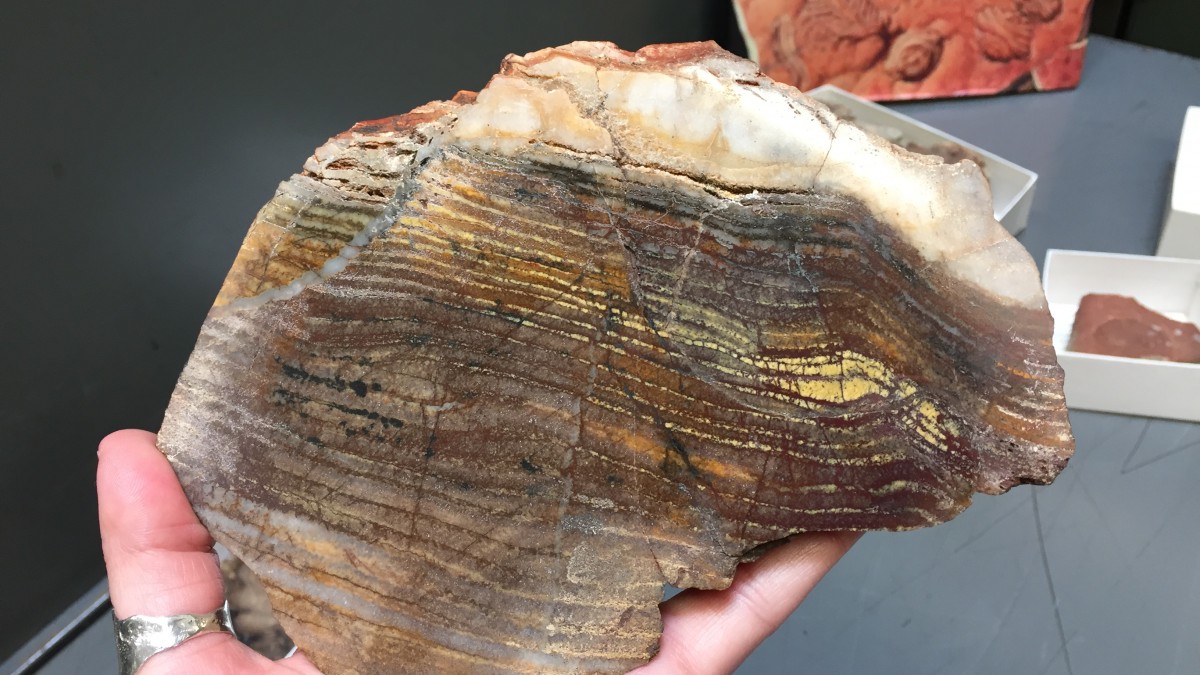 Stromatolite ?h=a5eb5da0