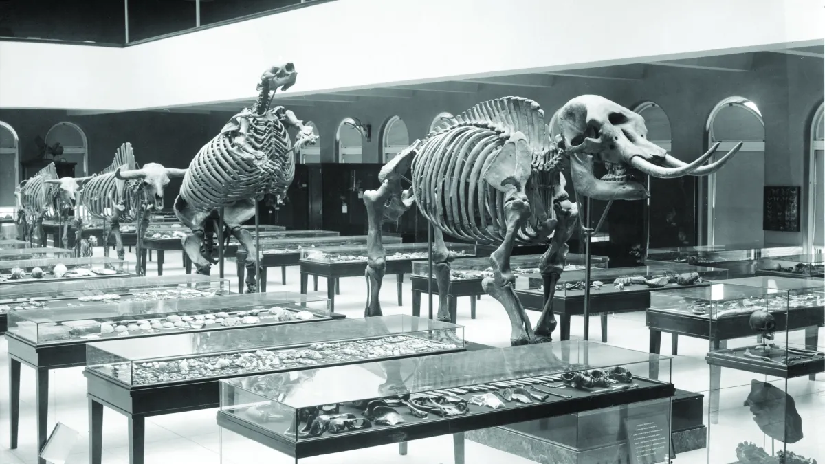 The NHM Story | Natural History Museum