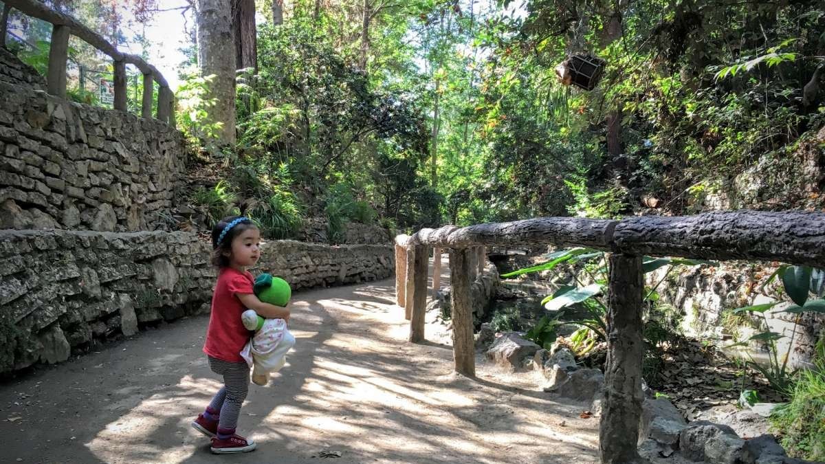 The Scoop on Ferndell: Griffith Park's Enchanted "Nature Museum" | nhm