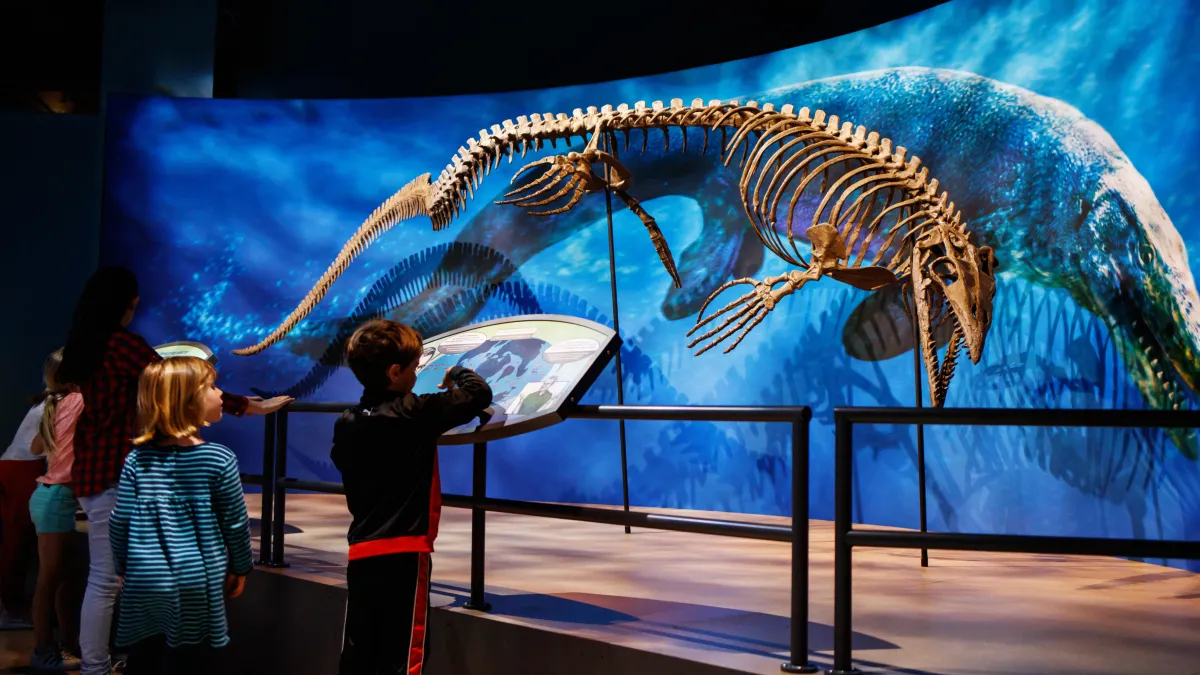 Sleepover: Antarctic Dinosaurs | Natural History Museum