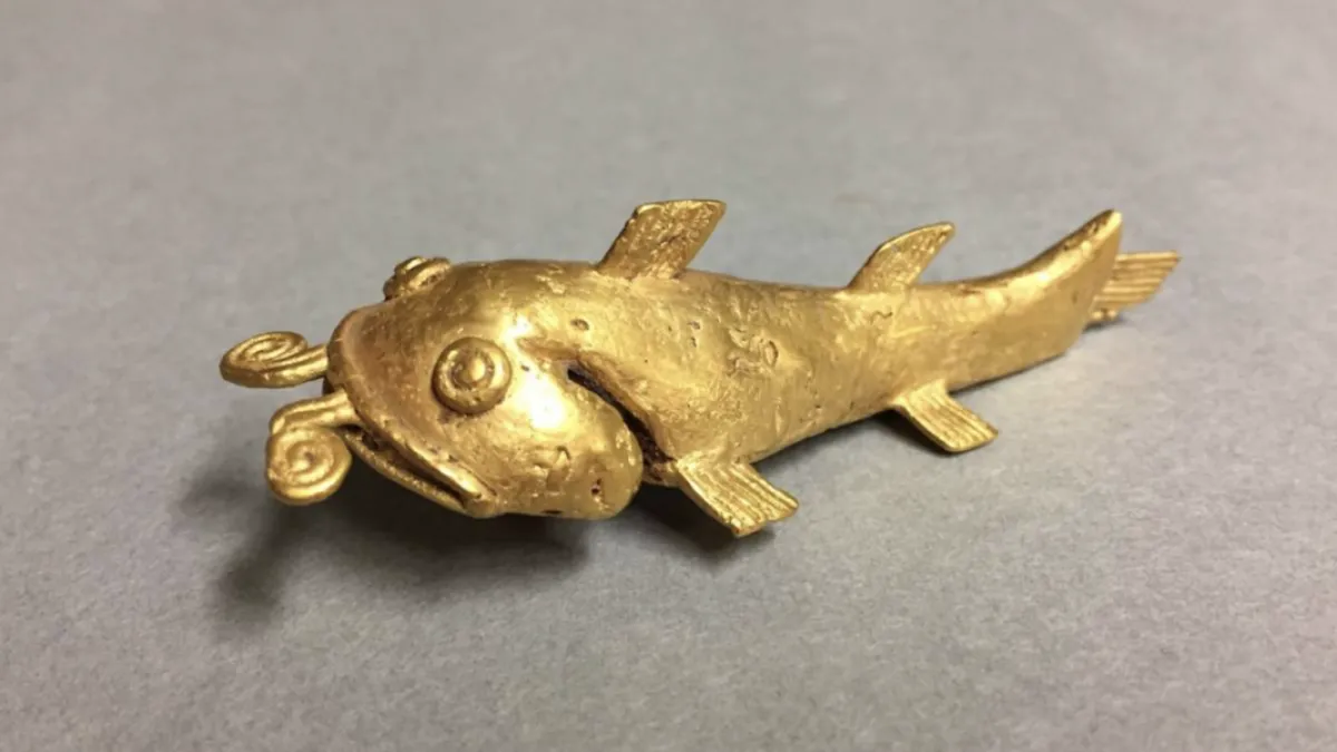 Old Catfish Looking for a Date Natural History Museum