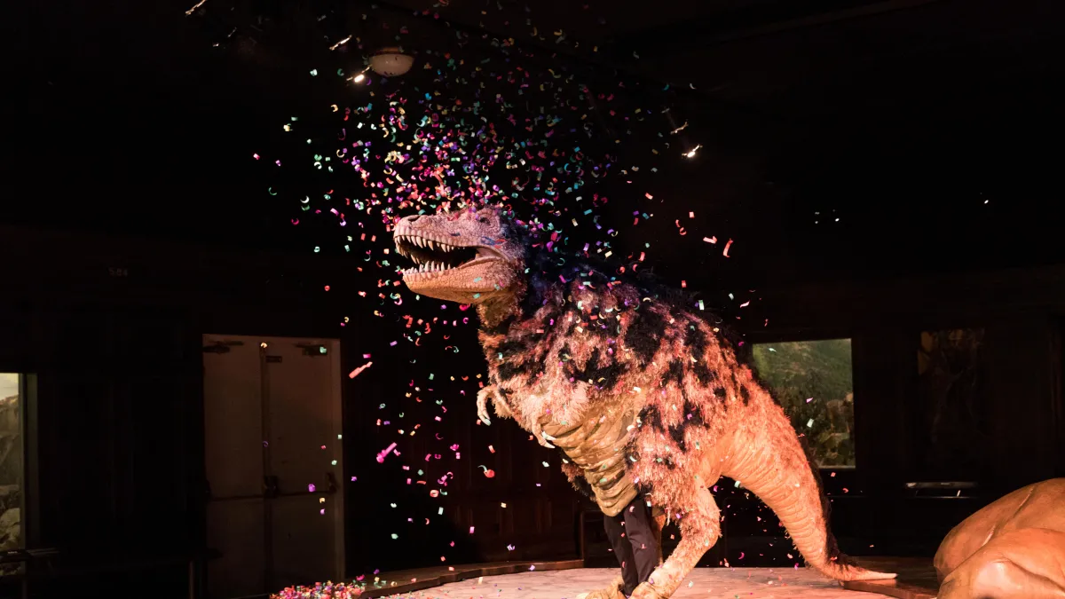 dino fest