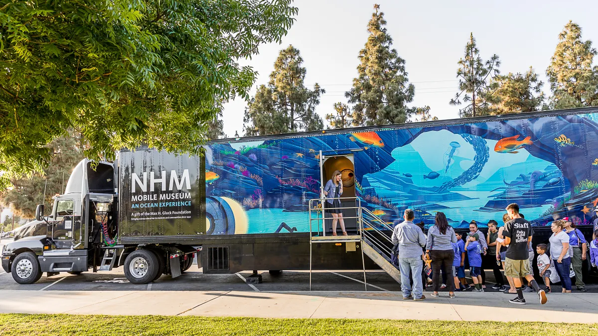 Members Q&A with Mobile Museums Natural History Museum