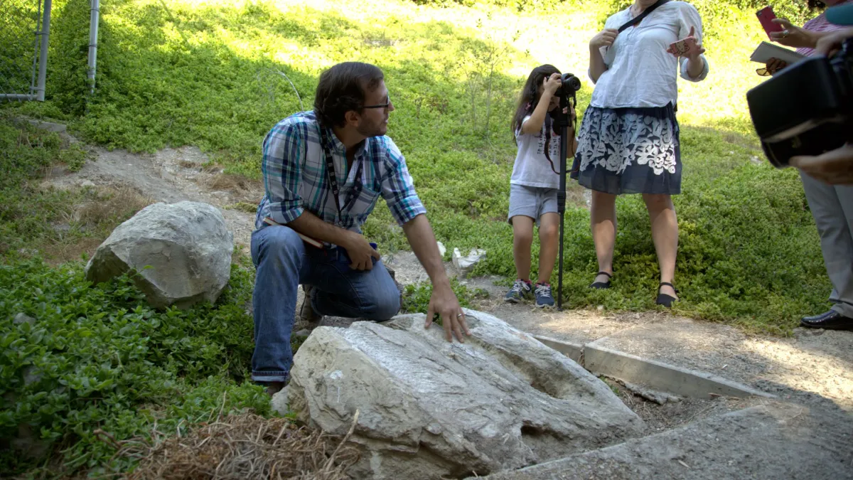 This Fossil Discovery Will Make You Question Everything You Know - 6npd33u