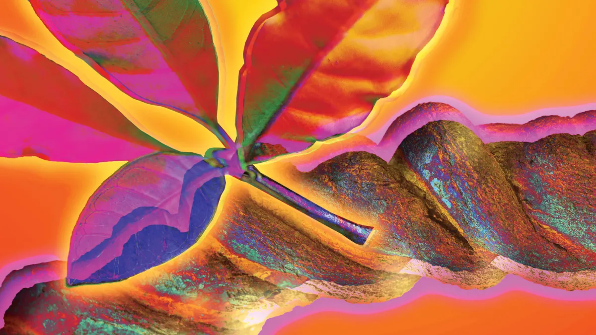 NHM FIRST FRIDAYS 2022 March Natural History Museum