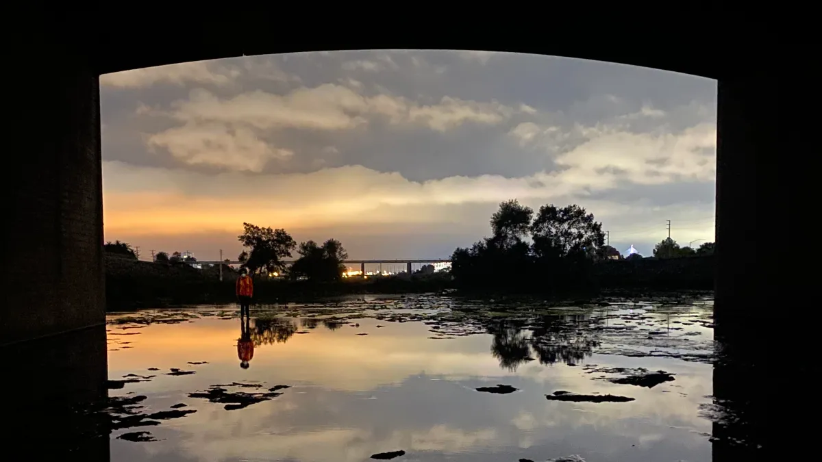 L.A. Bats Under the Overpass | Natural History Museum