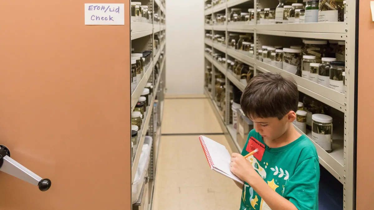 Adventures in Nature Day Camp: Lab-ology | Natural History Museum