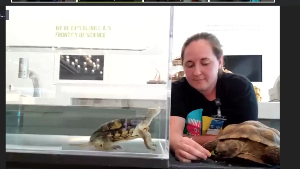 Live Museum Presentation: Virtual Animal Meet & Greet | Natural History ...