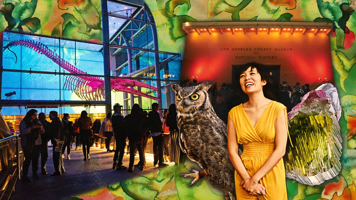 First Fridays | March 6 at NHM