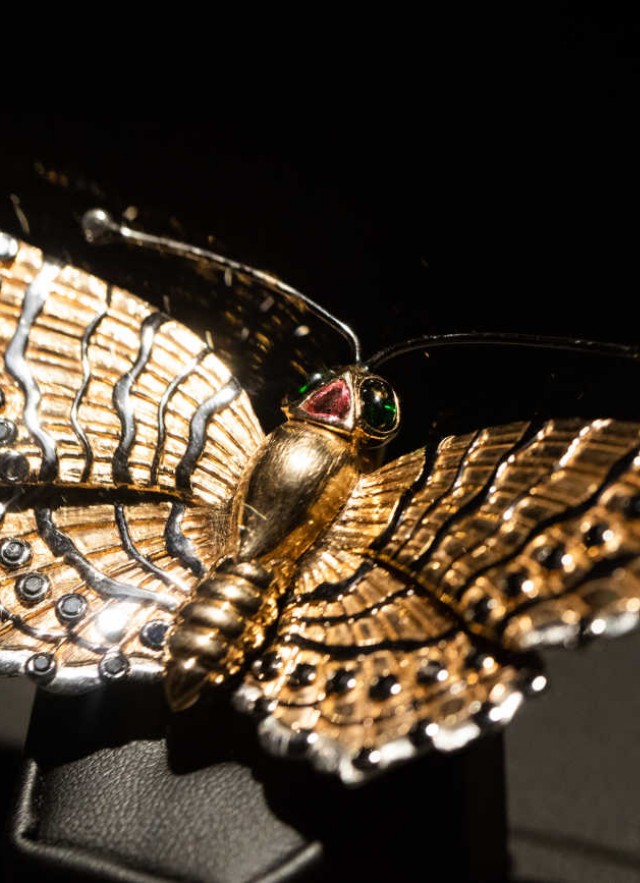 butterfly piece from crevoshay exhibition
