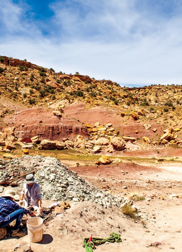 expedition in utah for r&c