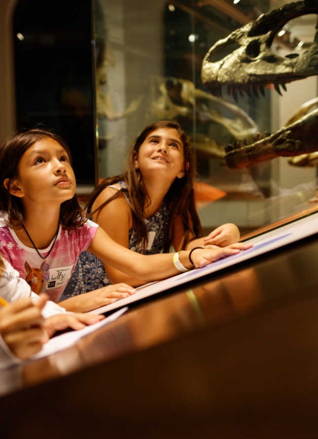 Three children looking at dinosaur skull 