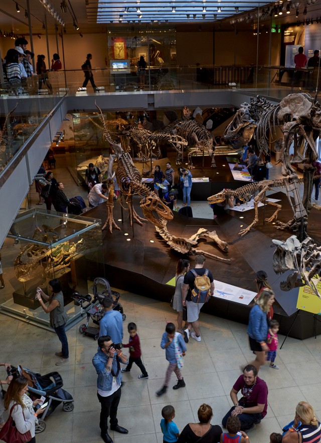 Looking down from the balcony into the expansive Dinosaur Hall