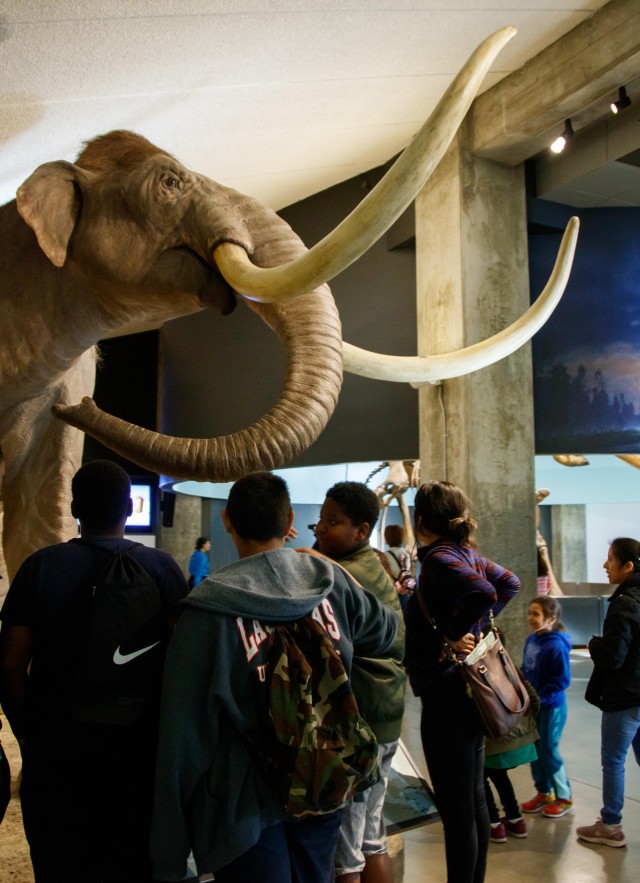 Mammoths and Mastodons