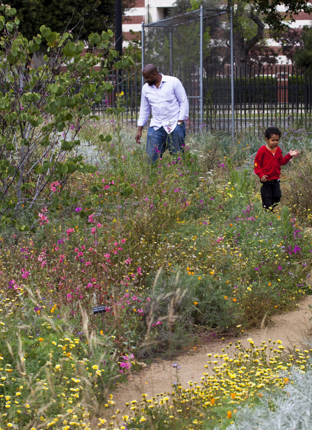 A man and boy walk by a field of blooming wildflowers