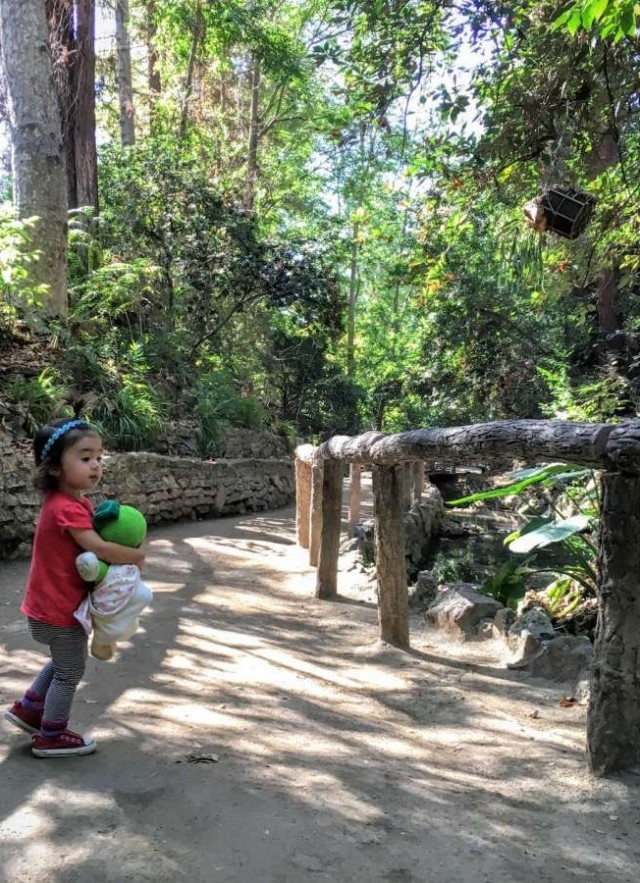 Girl in Griffith Park Ferndell Nature Museum