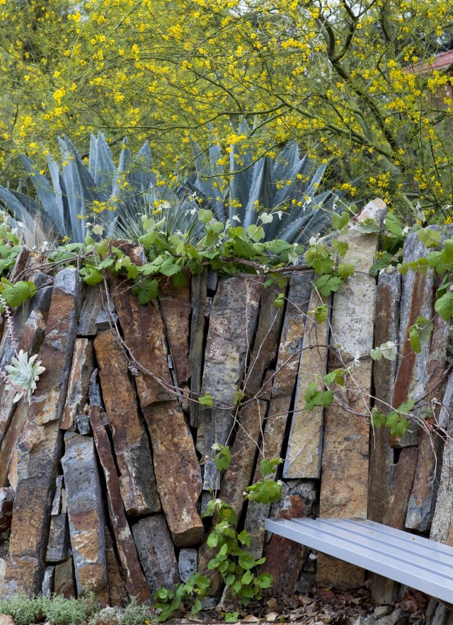 Image of living wall with bench and succulents