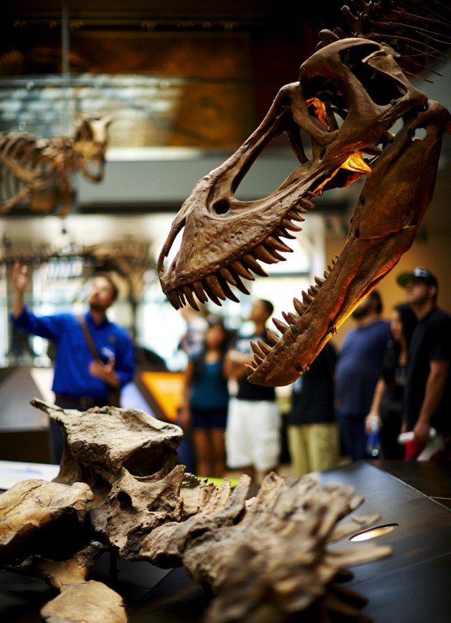 guests behind t.rex exhibit in dinosaur hall