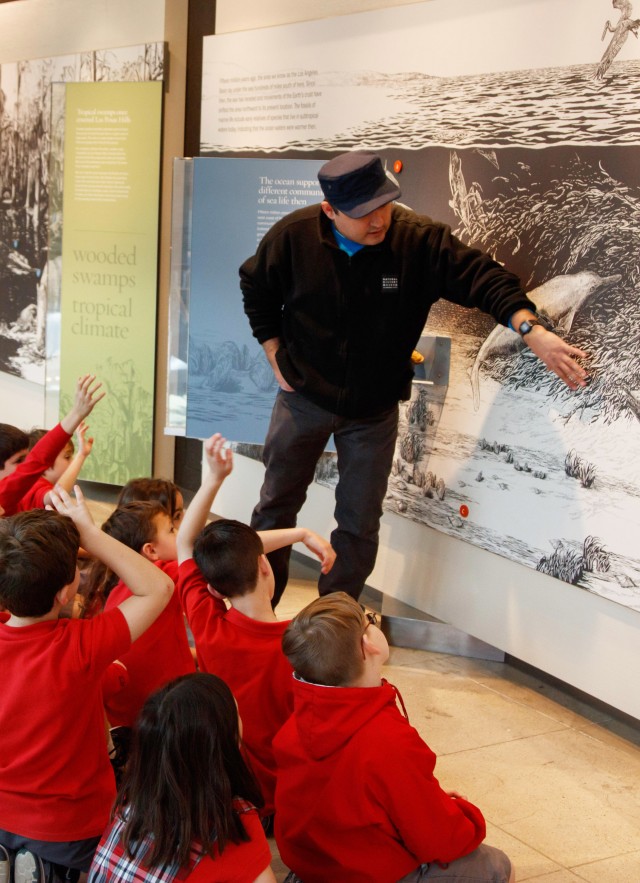 field trip assignment pdf school group field trip gallery interpreter age of mammals