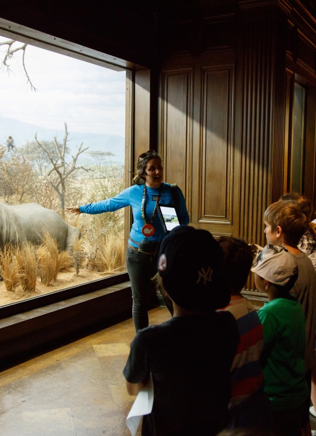tour of african mammal hall diorama school group gallery interpreter