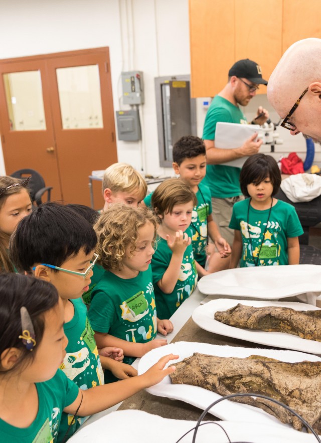 adventures in nature kids fossils paleo quest