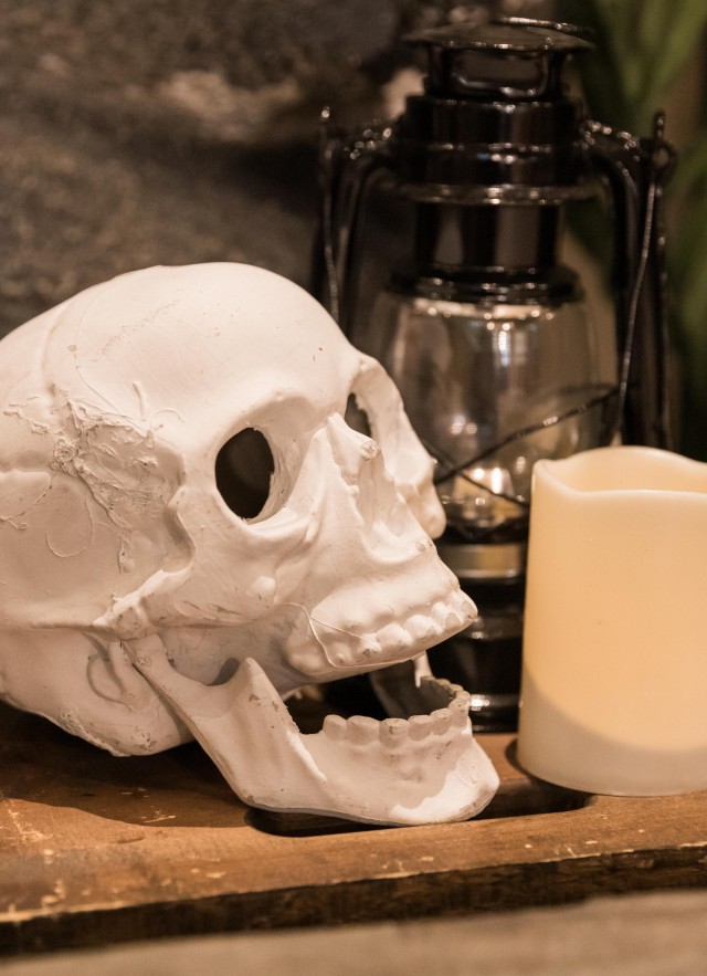 haunted museum prop display