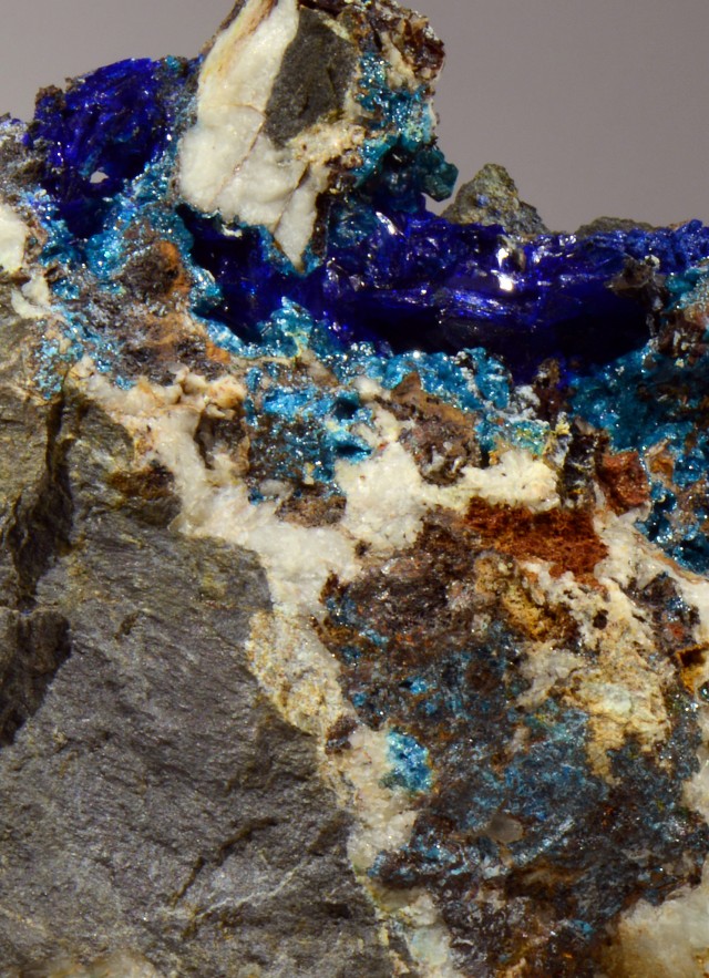 https://live-nhm.nhmlac.org/experience-nhm/hidden-gems