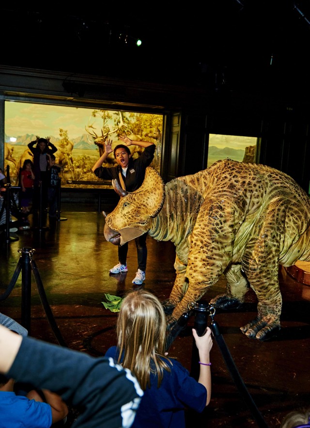 Dinosaur Encounters Show Triceratops Puppet