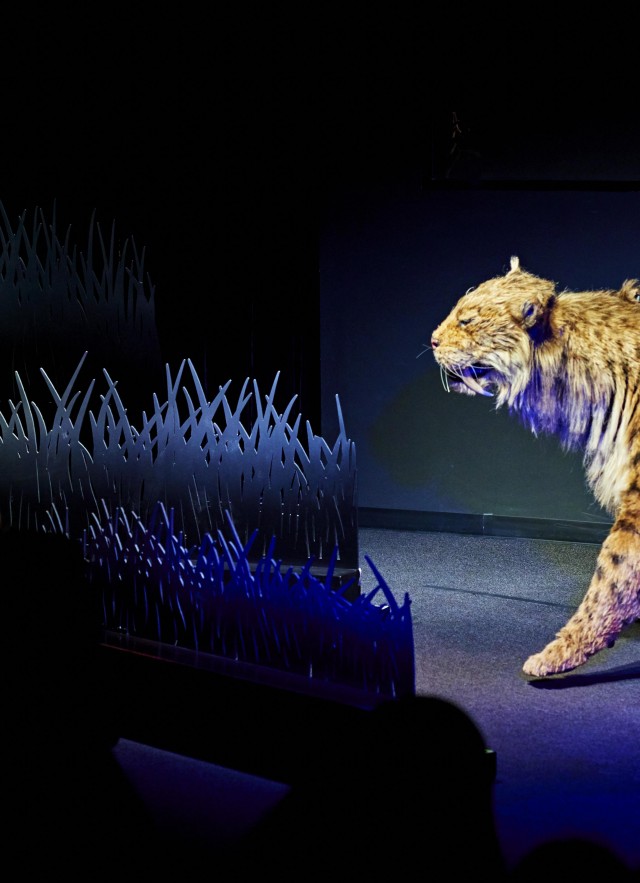 ice age encounters show tar pits