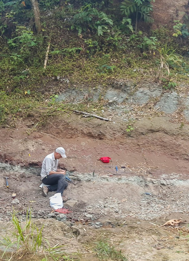 Rio Guatemala Mammal site expedition in Puerto Rico
