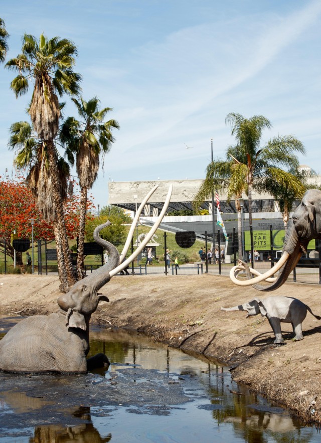 Master Planning Begins To Reimagine La Brea Tar Pits Nhm La Brea Tar Pits