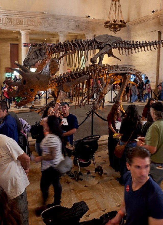 Image of guests in the Grand Foyer during Dino Fest