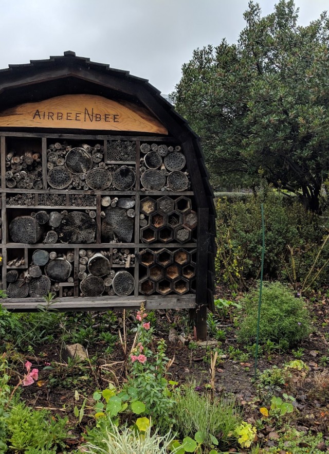Kat Superfisky stands next to a bee hotel