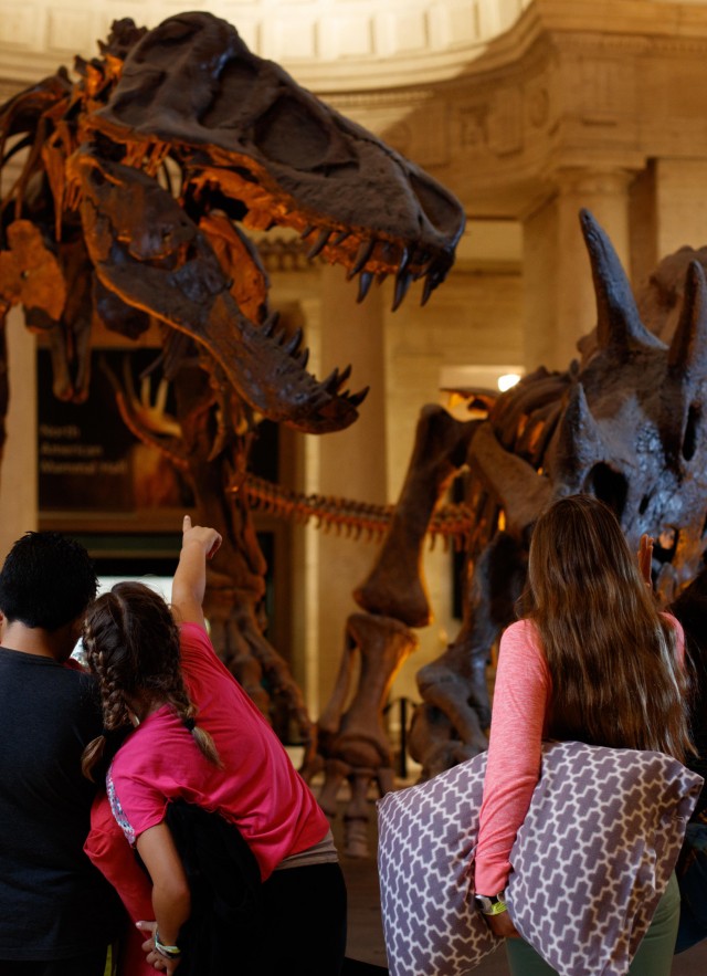 A group of children at an NHM sleepover event admiring the Dueling Dinos display