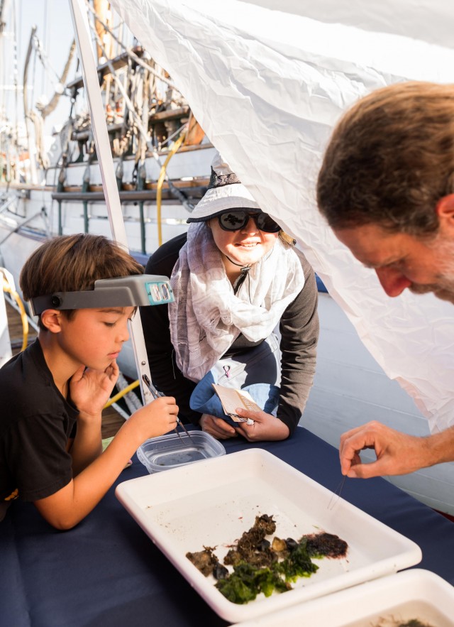 Dean Pentcheff and participants rough sorting at marine field trip event