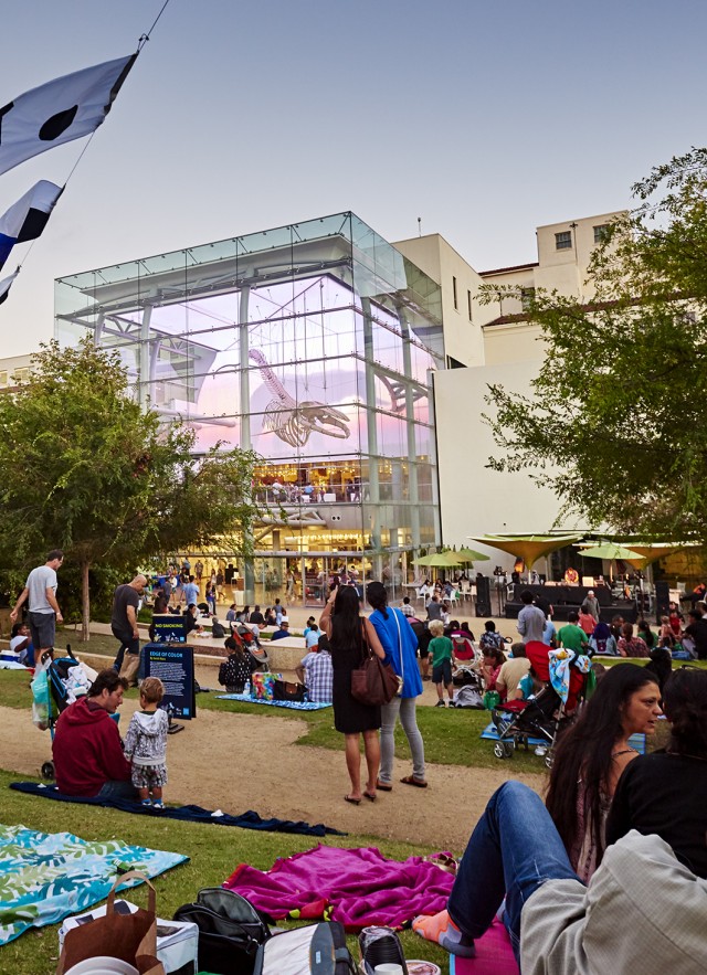 Summer Nights at Home  Natural History Museum