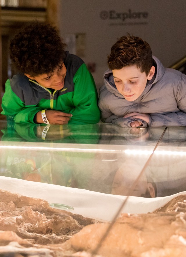 Boys looking at fossil in dino hall