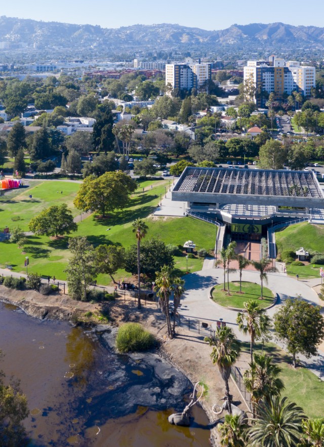 Overhead shot of the Tar Pits