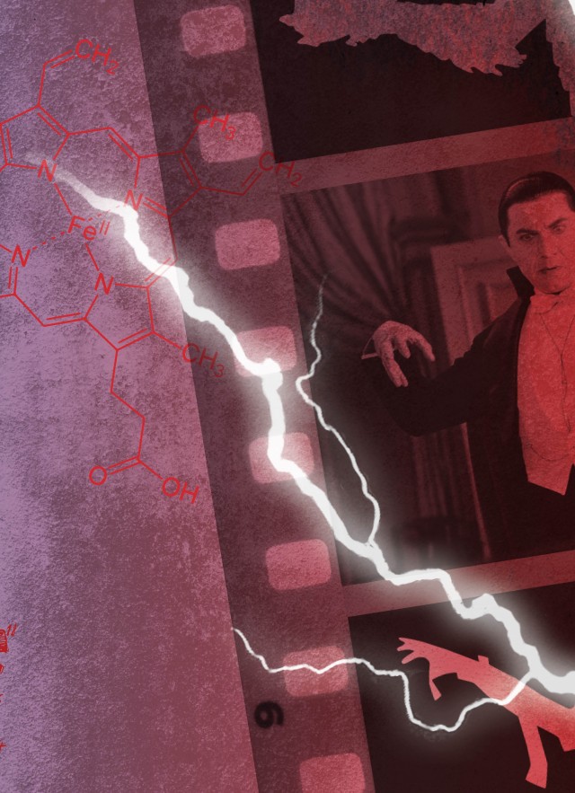 Image of Dracula from film within film strip 