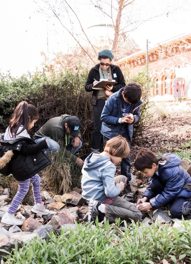 Youth using plastic vials to look closer at insects.