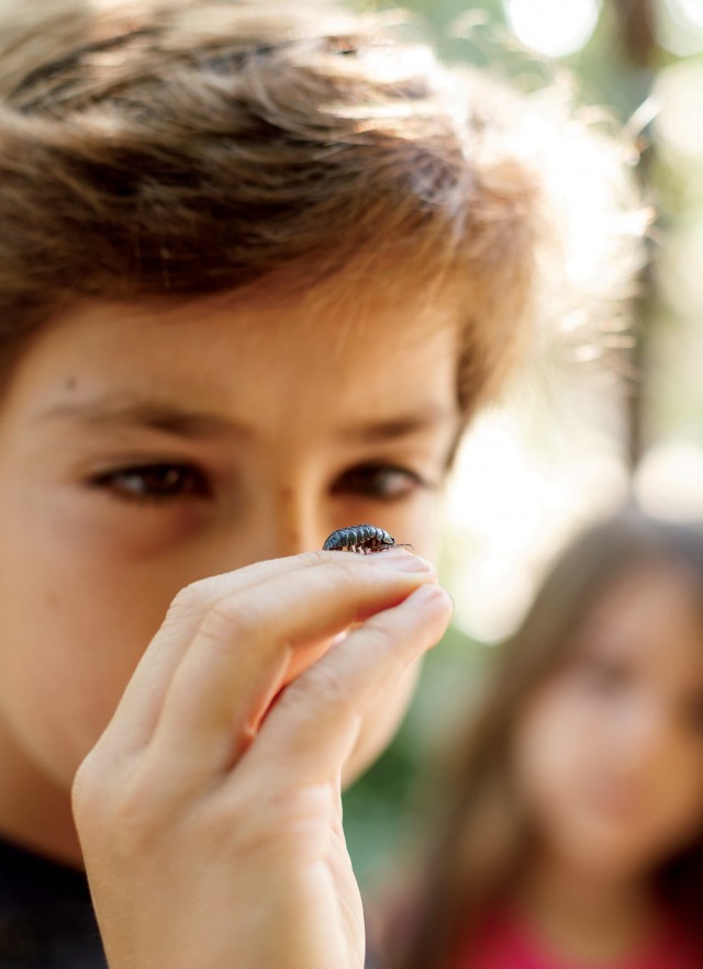 Child looking closely at pill bug in his hand.