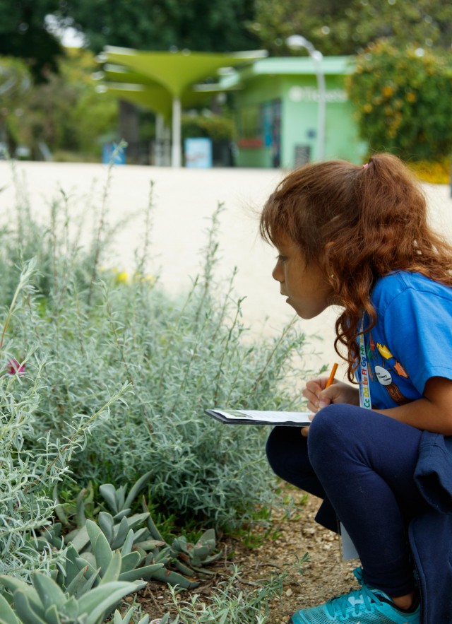 Young girl observing nature up close in Nature Gardens at NHM