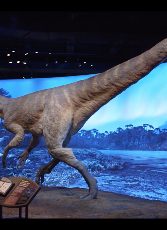 Cryolophosaurus replica in Antarctic Dinosaurs exhibition.