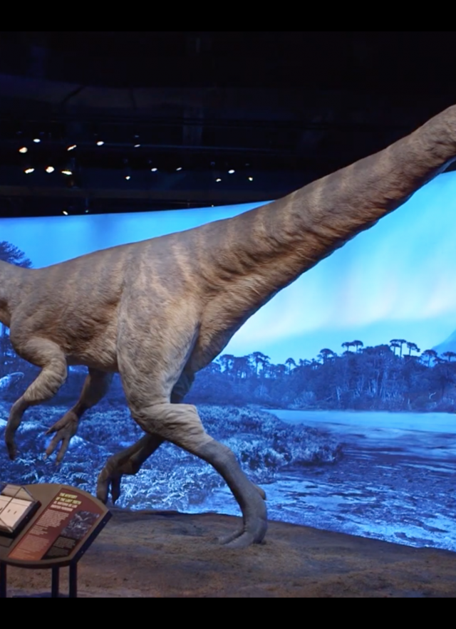 Dinosaurs of Antarctica 3D